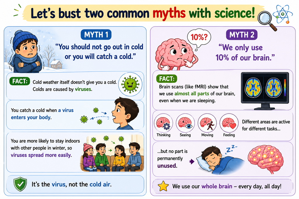 “Illustration explaining two common science myths: catching a cold from cold weather and using only 10% of the brain, with scientific facts correcting both myths.”