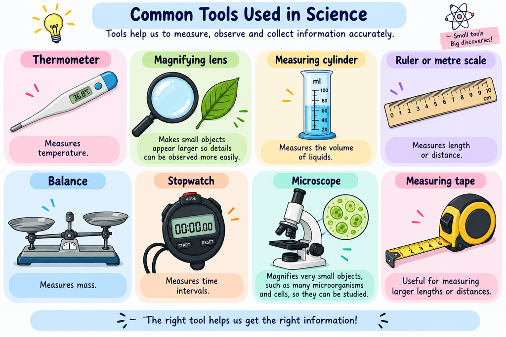 Illustration showing common scientific tools: thermometer, magnifying lens, measuring cylinder, ruler, balance, stopwatch, microscope, and measuring tape, with their uses.