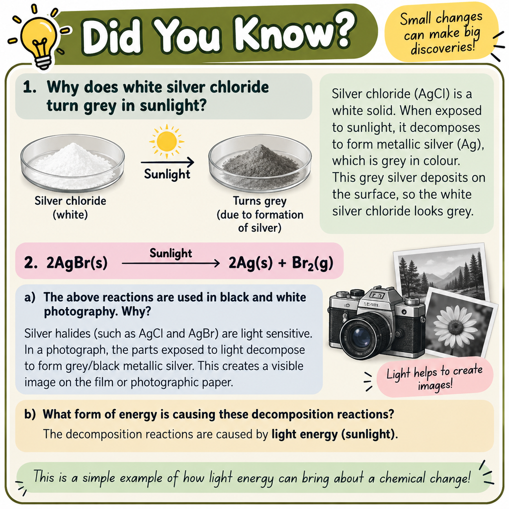 Did You Know illustration explaining why silver chloride turns grey in sunlight, the photodecomposition of silver bromide, and the use of light-sensitive silver salts in black-and-white photography.